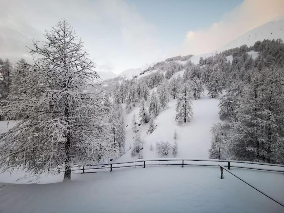 Cosy Apart, Ski Snow Surf, Foux D'Allos Avec Vue المظهر الخارجي الصورة